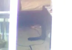 Teraz to często darmowy sex grupowy